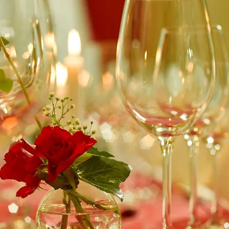 莱比锡阿尔特麦斯佰伦斯酒店 酒店 莱比锡