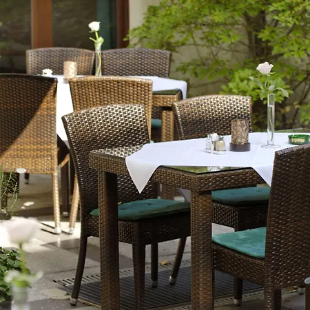 莱比锡阿尔特麦斯佰伦斯酒店 酒店